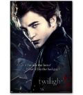 Twilight - 24" x 36" - Edward
