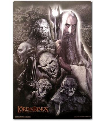 The Lord of the Rings: The Fellowship of the Ring﻿ - 22" x 34"