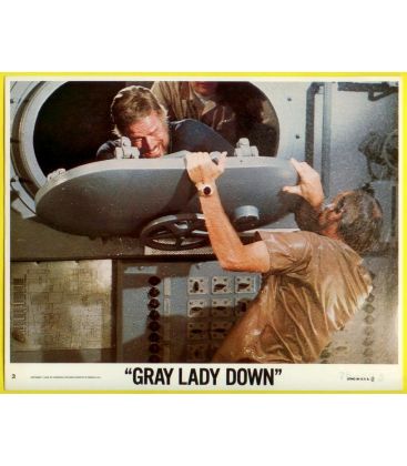 Gray Lady Down - Photo 10" x 8"