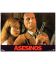 Assassins - Photo originale 13.5" x 9.5" avec Sylvester Stallone et Julianne Moore