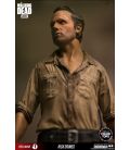 The Walking Dead - Rick Grimes - 7-inch Action Figure Color Tops 1