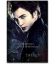 Twilight - Edward - 22" x 34"