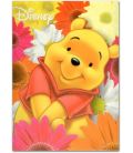 Winnie the Pooh - Portfolio