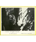 The French Detective - Photo 10" x 8" - Patrick Deweare