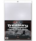 Treasury 10" x 13" bags - Pack of 100 - BCW (Treasury)