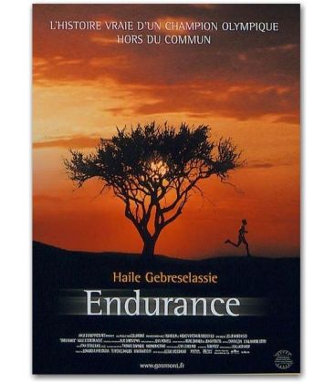 Endurance - 47" x 63"
